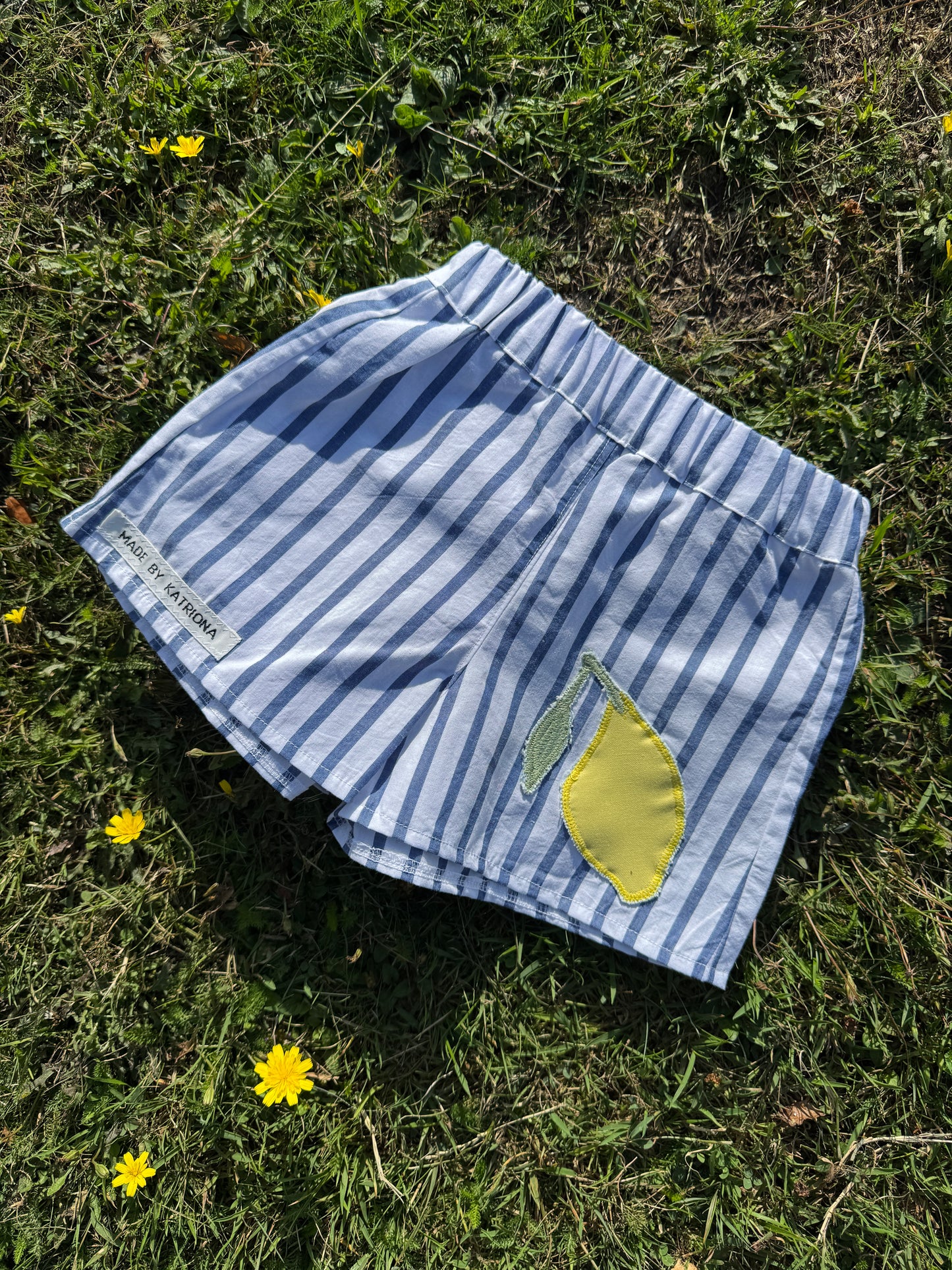 Pick Your Own Striped Shorts