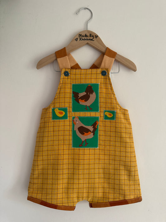 Chickens romper 18-24 months