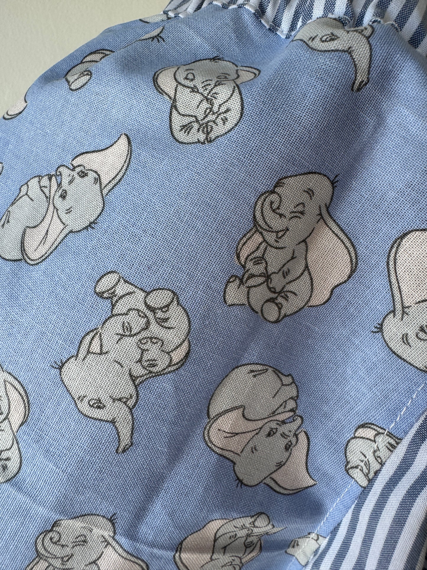 Disney/Striped shorts 2-3 years